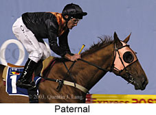 Paternal (13511 bytes)