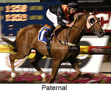 Paternal (18732 bytes)