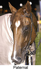 Paternal (12489 bytes)