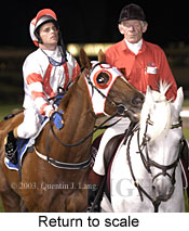 Return to scale (16451 bytes)