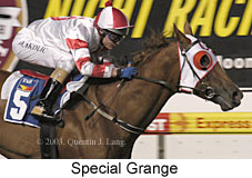 Special Grange (16734 bytes)