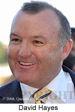 David Hayes (14102 bytes)