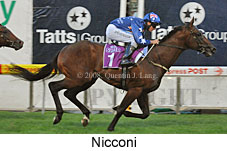 Nicconi (18294 bytes)