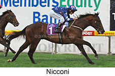 Nicconi (18294 bytes)