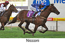 Nicconi (18294 bytes)