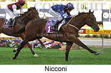 Nicconi (18294 bytes)