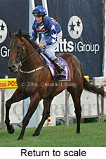 Return to scale (18294 bytes)