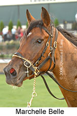Marchelle Belle (18294 bytes)