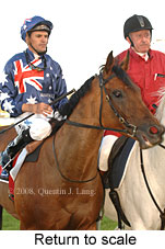 Return to scale (18294 bytes)