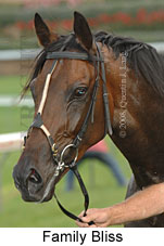 Family Bliss (18294 bytes)