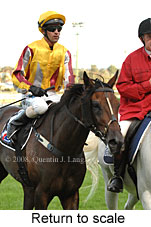 Return to scale (18294 bytes)