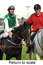 Return to scale (18294 bytes)