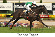 Tahnee Topaz (18294 bytes)