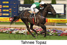 Tahnee Topaz (18294 bytes)