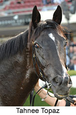 Tahnee Topaz (18294 bytes)