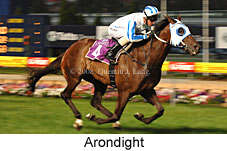 Arondight (18294 bytes)