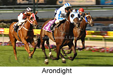 Arondight (18294 bytes)