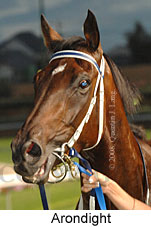 Arondight (18294 bytes)