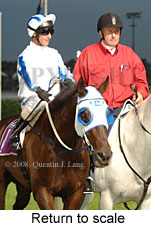 Return to scale (18294 bytes)