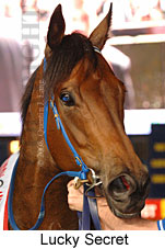 Lucky Secret (18294 bytes)