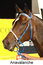 Anavalanche (18294 bytes)