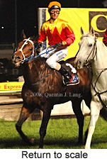 Return to scale (18294 bytes)