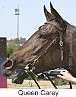 r1queencarey3.jpg (8719 bytes)