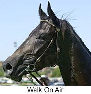 r2walkonair3.jpg (7859 bytes)