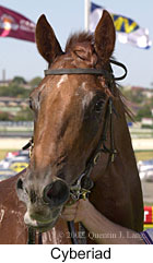 r3cyberiad3.jpg (12348 bytes)