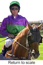 r3rtosc.jpg (9594 bytes)