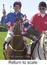 r4rtosc.jpg (10296 bytes)