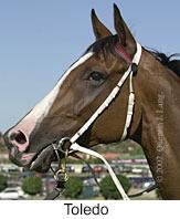 r5toledo2.jpg (8271 bytes)