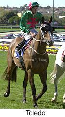 r5toledo3.jpg (11138 bytes)