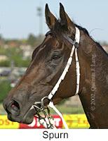 r6spurn2.jpg (7951 bytes)