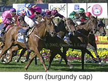 r6spurn3.jpg (13879 bytes)