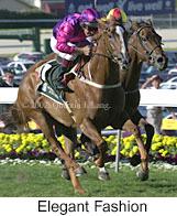 r7elegantfashion2.jpg (11941 bytes)