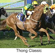 r8thongclassic.jpg (12038 bytes)