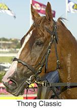 r8thongclassic2.jpg (9094 bytes)