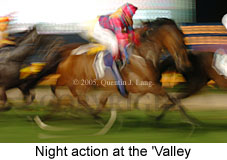 action (15127 bytes)