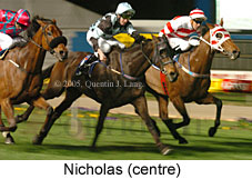 Nicholas (17134 bytes)