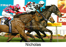 Nicholas (17134 bytes)