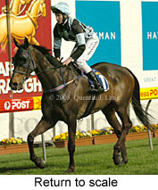 Return to scale (14699 bytes)