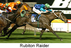 Rubiton Raider (17134 bytes)