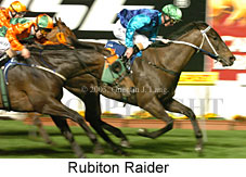 Rubiton Raider (17134 bytes)