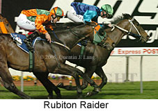 Rubiton Raider (17134 bytes)