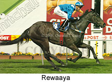 Rewaaya (17134 bytes)