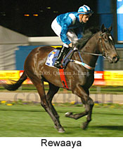 Rewaaya (17134 bytes)