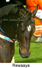 Rewaaya (17134 bytes)