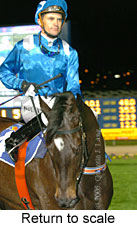 Return to scale (14699 bytes)