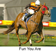 Fun You Are (17134 bytes)